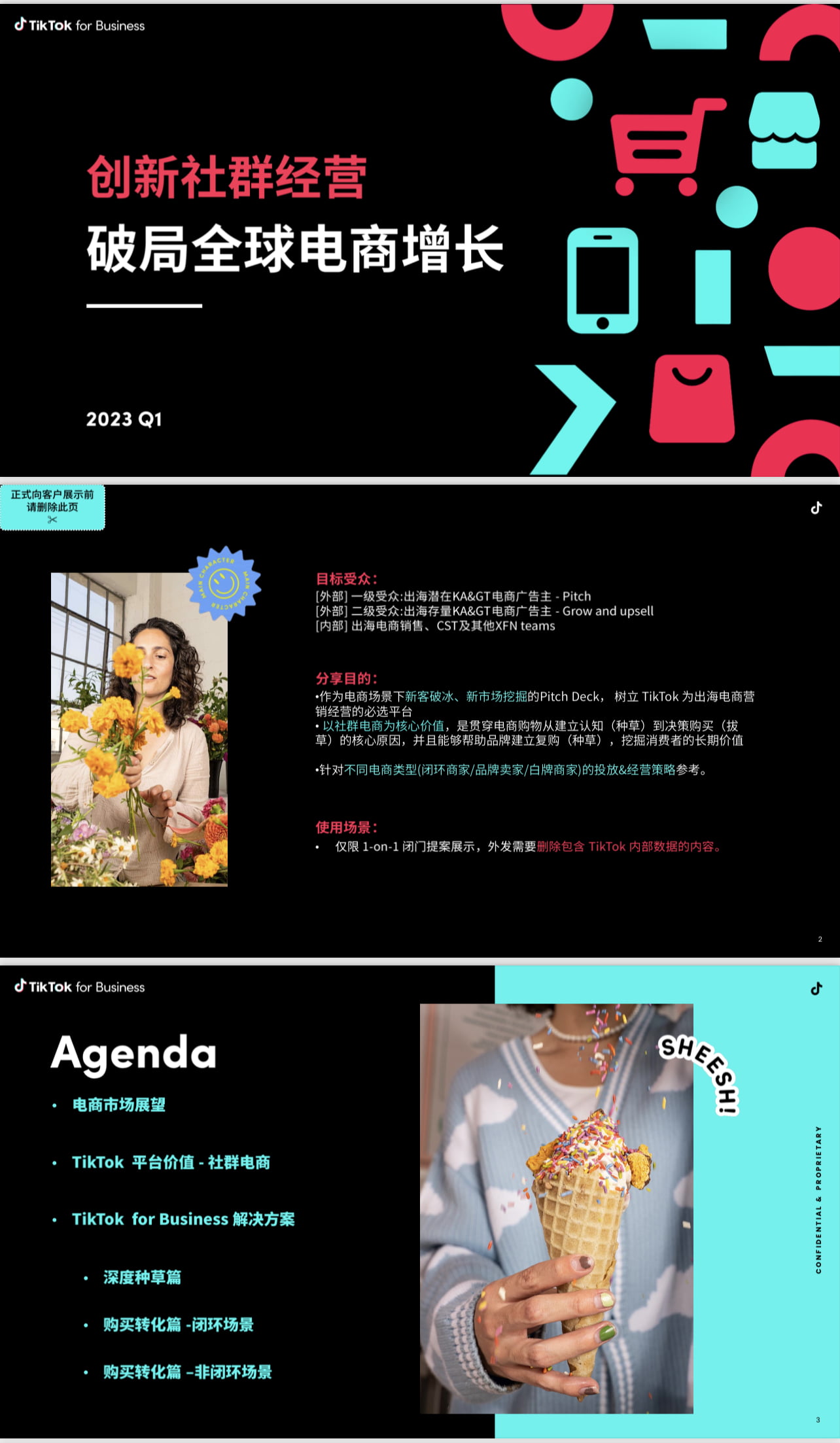 2023出海电商营销通案